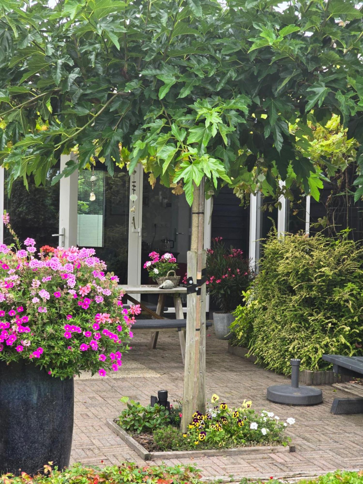 B&B Welkom Zierikzee Zewnętrze zdjęcie