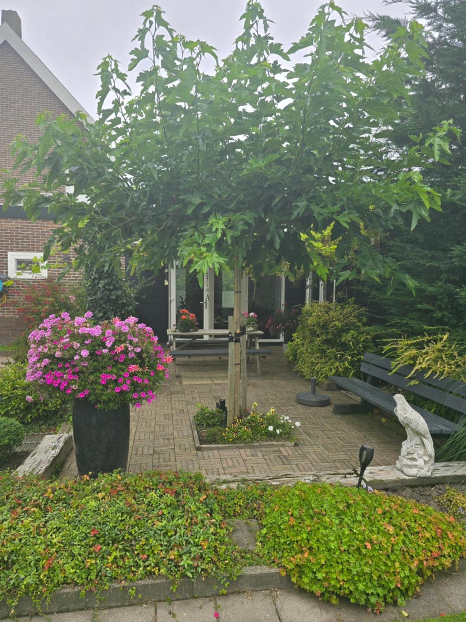 B&B Welkom Zierikzee Zewnętrze zdjęcie